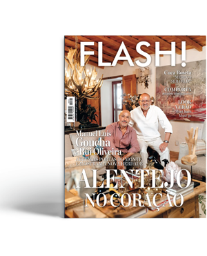 ePaper Flash